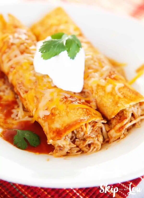 Shredded Chicken Enchiladas